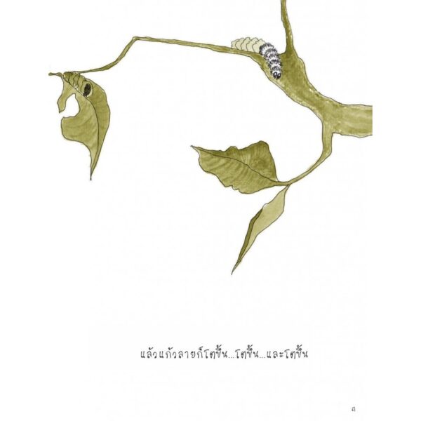 ดอกไม้และความหวัง / ทริน่า เพาลัส / เสมสิกขาลัย