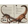 ไดโนเสาร์:ประวัติศาสตร์แห่งชีวิตที่สูญหาย The Rise and Fall of the Dinosaurs: A New History of a Lost World Steve Brusatte / Bookscape