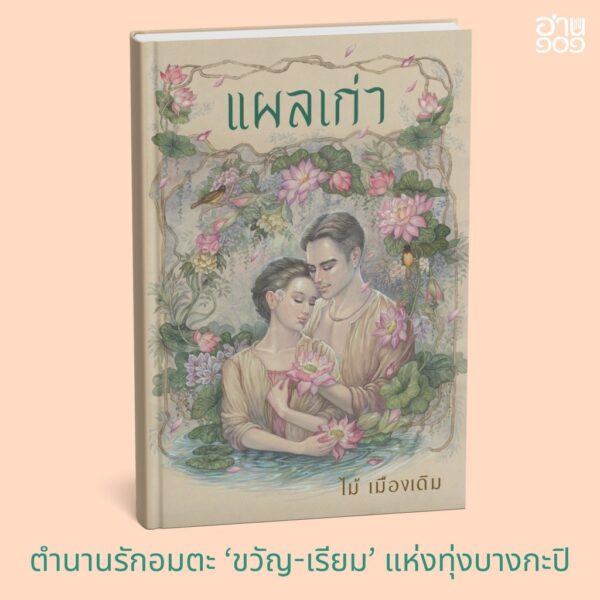 (ปกแข็งสันโค้ง) / แผลเก่า (ฉบับ 120 ปี ไม้ เมืองเดิม) / ไม้ เมืองเดิม / อ่าน๑๐๑
