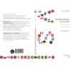 9786168313039-02.jpg ความสัมพันธ์ระหว่างประเทศ: ความรู้ฉบับพกพา / Christian Rues-Smit / Bookscape