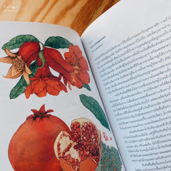 (ปกอ่อน) 80 ต้นไม้รอบโลก  Around the World in 80 Trees / Jonathan Drori เขียน / Lucille Clerc วาด / Bookscape