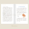 9786168328385-05.jpg เลี้ยงลูกให้เป็นนักกล้าคิด Raising Critical Thinkers / จูลี่ โบการ์ต / วารีรัตน์ อันวีระวัฒนา / Sandclock Books