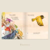(ปกแข็ง) The Bowerbird บาวเวอร์เบิร์ด นกน้อยนักแต่งรัง / จูเลีย โดนัลด์สัน / แคเธอรีน เรย์เนอร์ / วิกันดา จันทร์ทองสุข / Sandclock Books