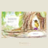 (ปกแข็ง) The Bowerbird บาวเวอร์เบิร์ด นกน้อยนักแต่งรัง / จูเลีย โดนัลด์สัน / แคเธอรีน เรย์เนอร์ / วิกันดา จันทร์ทองสุข / Sandclock Books