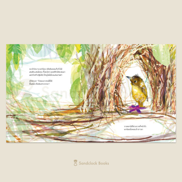 (ปกแข็ง) The Bowerbird บาวเวอร์เบิร์ด นกน้อยนักแต่งรัง / จูเลีย โดนัลด์สัน / แคเธอรีน เรย์เนอร์ / วิกันดา จันทร์ทองสุข / Sandclock Books