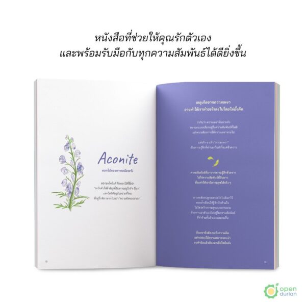 9786168342091-06.jpg วันไหนที่ใจแข็งแรง ดอกไม้จะผลิบาน The Enchanted Garden / OpenDurian