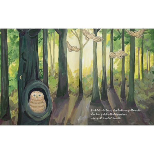 นกฮูกที่ไม่เคยบิน Pop-up Book / ฮิโรกะ ลิมวิภูวัฒน์ (คุณวี) นักวาด / ครูแจน เรื่อง / Barefoot Banana