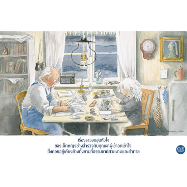 (ปกแข็ง) สติน่ากับพายุ / Lena Anderson (เลนา อันเดอร์ซอน) / นาวา