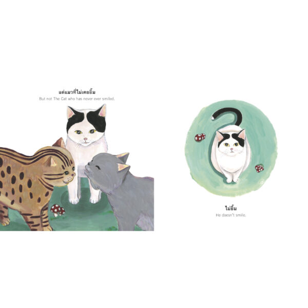 (ปกแข็ง) แมวที่ไม่เคยยิ้ม The Cat who has never ever smiled / ครูแจนแจน / ฮิโรกะ ลิมวิภูวัฒน์ / Barefoot Banana