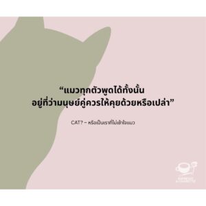 CAT? หรือเป็นเราที่ไม่เข้าใจแมว / พาราดี, ดาวนับพัน, ออสการ์ วงศ์สุวัฒน์, ธีรภัทร์, ปรัชวิชญ์ บุญยะวันตัง, Mod-x, ศุภลักษณ์, ธนา บุญเลิศ และ มาภา / Espresso & Cigarette