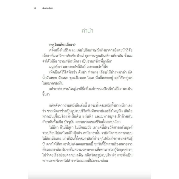 เห็ดไฉนใยรา Entangled Life / Merlin Sheldrake / Avocado Books