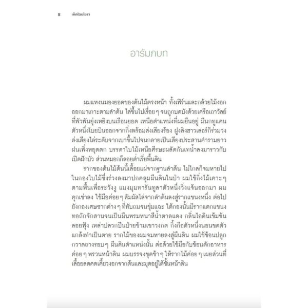 เห็ดไฉนใยรา Entangled Life / Merlin Sheldrake / Avocado Books