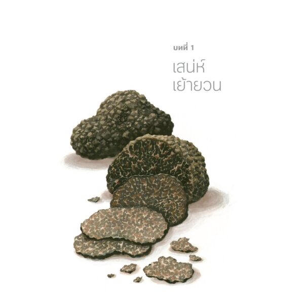 เห็ดไฉนใยรา Entangled Life / Merlin Sheldrake / Avocado Books