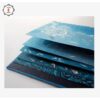 (Eng) THE DEEP ( Hand Made ) / Mayur Vayeda, Tushar Vayeda / tarabooks