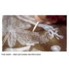 (Eng) THE DEEP ( Hand Made ) / Mayur Vayeda, Tushar Vayeda / tarabooks