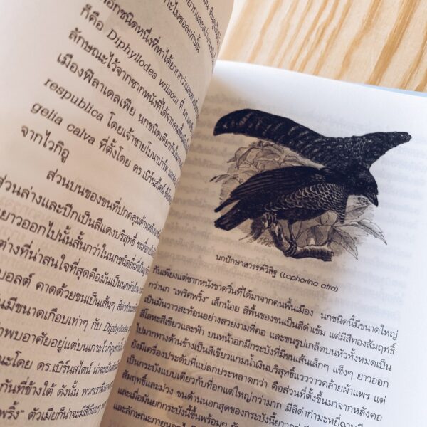หมู่เกาะมาเลย์ 2 The Malay Archipelago II / อัลเฟรด รัสเซล วอลเลซ / มติชน