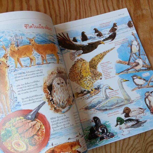 นิตยสารสารคดี ฉบับ 493 เมษายน 2569 120 ปีชาตกาล มาลัย ชูพินิจ