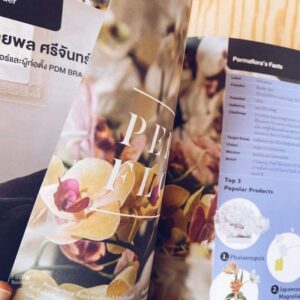 a day 247 : creative entrepreneur ฉบับ 247 ประจำเดือนพฤษภาคม 2564