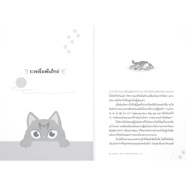 น้องเหมียวกับพาสปอร์ตสามเล่ม / C.J. Fentiman / ชาครีย์นรทิพย์  เสวิกุล / แสงดาว