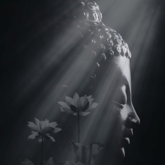 (Eng) Who is asking to be born again? / Kyle Neo