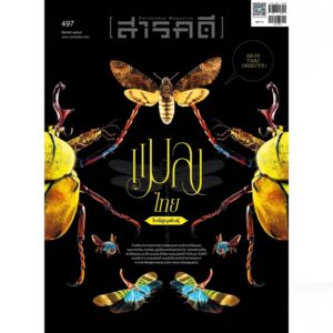 นิตยสารสารคดี ฉบับ 497 สิงหาคม 2569 แมลงไทยใกล้สูญพันธุ์