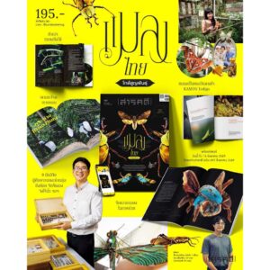 นิตยสารสารคดี ฉบับ 497 สิงหาคม 2569 แมลงไทยใกล้สูญพันธุ์