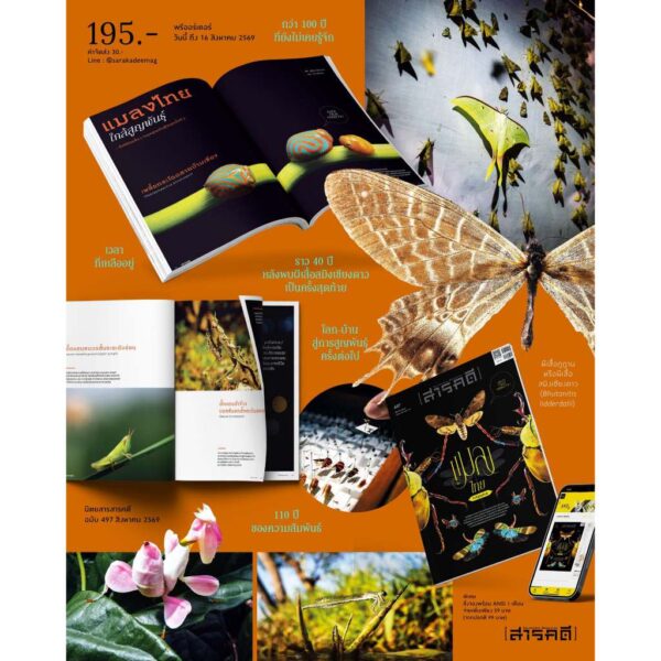 นิตยสารสารคดี ฉบับ 497 สิงหาคม 2569 แมลงไทยใกล้สูญพันธุ์