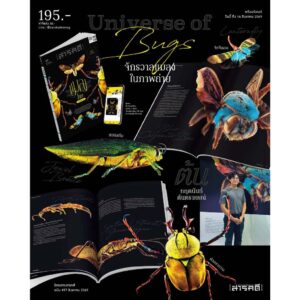นิตยสารสารคดี ฉบับ 497 สิงหาคม 2569 แมลงไทยใกล้สูญพันธุ์