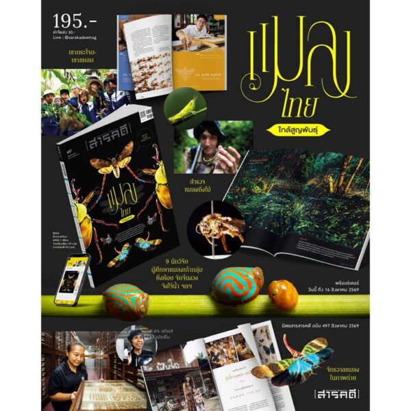 นิตยสารสารคดี ฉบับ 497 สิงหาคม 2569 แมลงไทยใกล้สูญพันธุ์