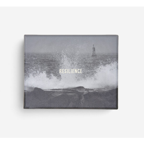 (Eng) Resilience Cards  / The School of Life