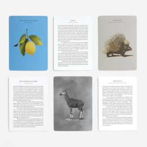 5060538150955-03.jpg (ENG) Wonder of Nature Card Set / self-knowledge / The School of Life