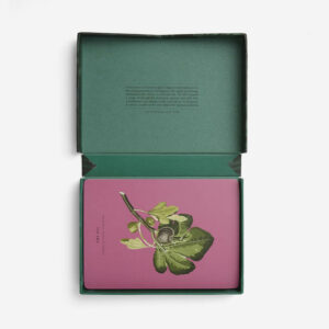 5060538150955-04.jpg (ENG) Wonder of Nature Card Set / self-knowledge / The School of Life