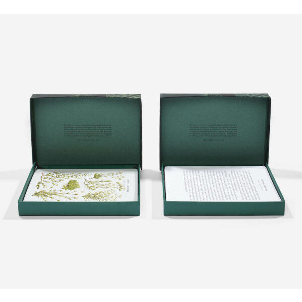 5060538150955-05.jpg (ENG) Wonder of Nature Card Set / self-knowledge / The School of Life