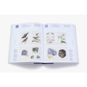 ( Eng ) Nature's Palette A colour reference system from the natural world / Patrick Baty, Peter Davidson, Elaine Charwat, Giulia Simonini, André Karliczek / Thames & Hudson