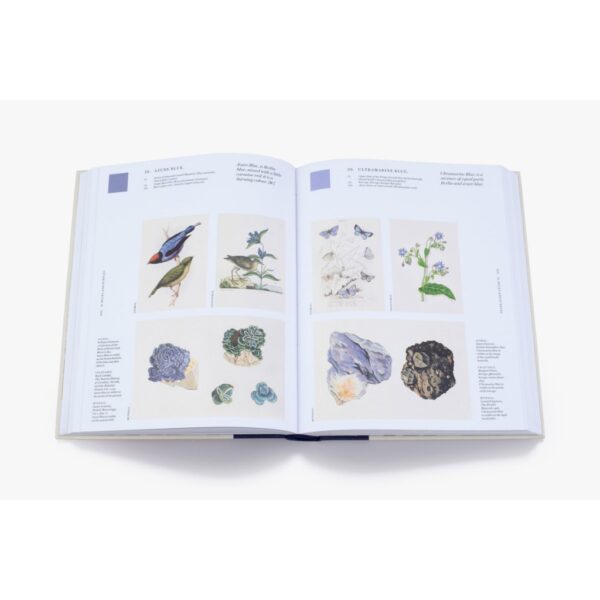 ( Eng ) Nature's Palette A colour reference system from the natural world / Patrick Baty, Peter Davidson, Elaine Charwat, Giulia Simonini, André Karliczek / Thames & Hudson