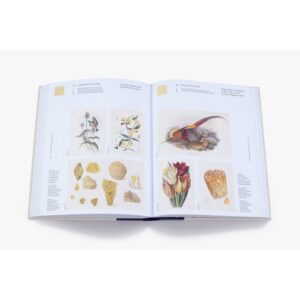 ( Eng ) Nature's Palette A colour reference system from the natural world / Patrick Baty, Peter Davidson, Elaine Charwat, Giulia Simonini, André Karliczek / Thames & Hudson