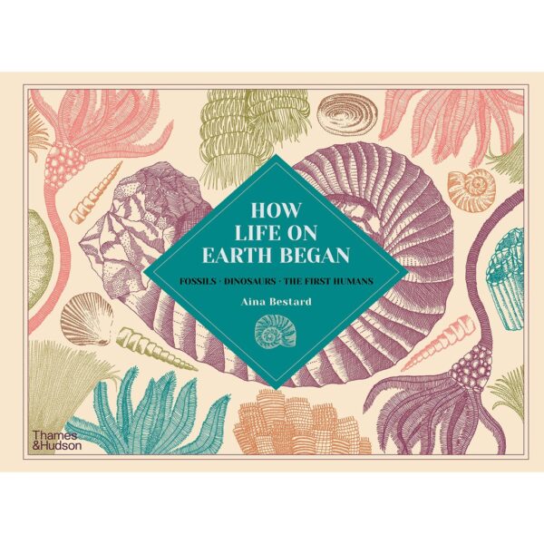 ( Eng ) How Life on Earth Began Fossils Dinosaurs The First Humans /anglais Hardback – February 18, 2021 by BESTARD AINA / Thames & Hudson