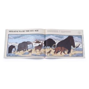 ( Eng ) How Life on Earth Began Fossils Dinosaurs The First Humans /anglais Hardback – February 18, 2021 by BESTARD AINA / Thames & Hudson