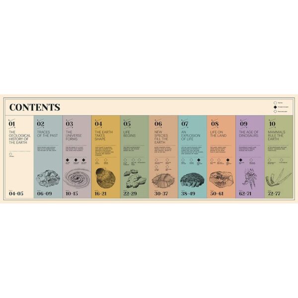 ( Eng ) How Life on Earth Began Fossils Dinosaurs The First Humans /anglais Hardback – February 18, 2021 by BESTARD AINA / Thames & Hudson