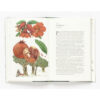 9781786271617-06.jpg Around the world in 80 trees (ENG-hardcover) / Jonathan Drori เขียน Lucille Clerc วาด / Laurence king