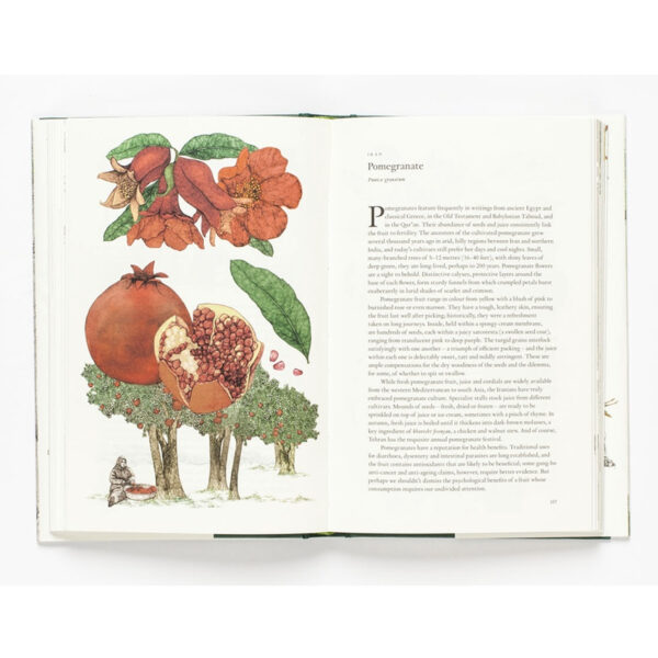 9781786271617-06.jpg Around the world in 80 trees (ENG-hardcover) / Jonathan Drori เขียน Lucille Clerc วาด / Laurence king