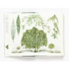 9781786271617-08.jpg Around the world in 80 trees (ENG-hardcover) / Jonathan Drori เขียน Lucille Clerc วาด / Laurence king