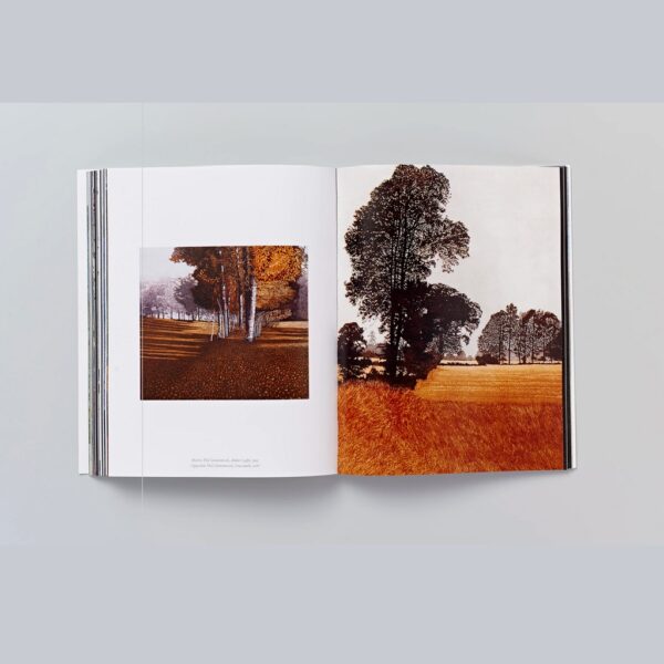 The Book of the Tree : Trees in Art [Paperback] / Angus Hyland and Kendra Wilson / Laurence King Publishing
