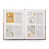 (Eng) Dream Decoder Journal /Theresa Cheung , Illustrated by Harriet Lee-Merrion (Author)