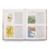 (Eng) Dream Decoder Journal /Theresa Cheung , Illustrated by Harriet Lee-Merrion (Author)