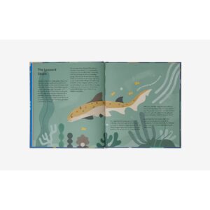 9781912891313-04.jpg (Eng) Nature and Me: A guide to the joys and excitements of the outdoors (Hardcover)