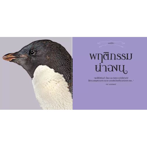 9786160452002-04.jpg สัตว์มหัศจรรย์กับธรรมชาติสุดพิศวง (ปกแข็ง) / Natural History Museum