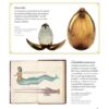 9786160452002-05.jpg สัตว์มหัศจรรย์กับธรรมชาติสุดพิศวง (ปกแข็ง) / Natural History Museum
