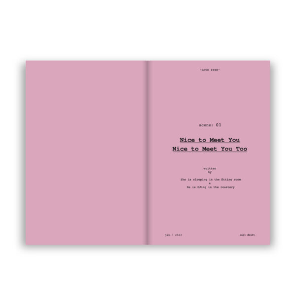 LOVEZINE เรื่องจริงหวังแต่ง / นภษร, เฟื่องฟู / Salmon Books