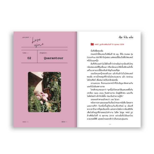 LOVEZINE เรื่องจริงหวังแต่ง / นภษร, เฟื่องฟู / Salmon Books
